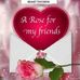 Profile Picture of Dina Donaldson (@Dina-Donaldson) on Facebook