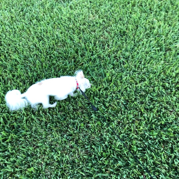 Profile Picture of Brian Hayes (@fitzgerald927) on Poshmark