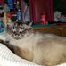 Profile Picture of Paula Crary (@paula.crary.184) on Facebook