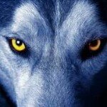 Profile Picture of Jonathan Busst (@hectorspal) on Instagram