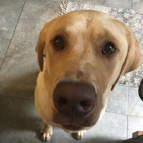 Profile Picture of Janna Watson (@jawat1235) on Pinterest