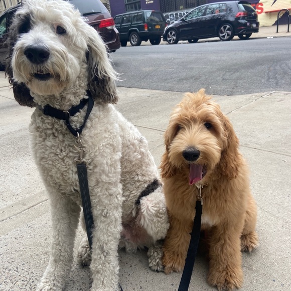 Arielle Franklin - Poshmark Profile Picture of Arielle Franklin (@franklin91) on Poshmark