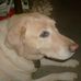 Profile Picture of Loretta Heath (@loretta.heath.54) on Facebook