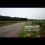 Profile Picture of Jeffrey Mitchell (@formangreene) on Instagram