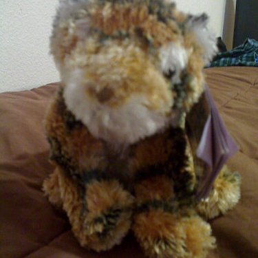 Hannah McFall - Twitter Profile Picture of Hannah McFall (@francisthe23rd) on Twitter