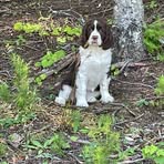 Profile Picture of Nathan Steinbauer (@nathan.steinbauer.2025) on Facebook