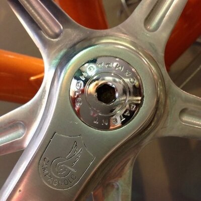 Profile Picture of Belinda Scott (@ByCycleBee) on Twitter