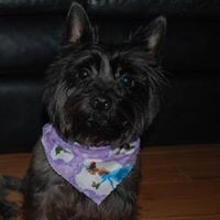 Profile Picture of Paula Fontes (@paula-fontes) on Quora