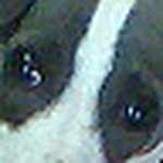 Profile Picture of K Corbin (@kcsolaris) on Flickr