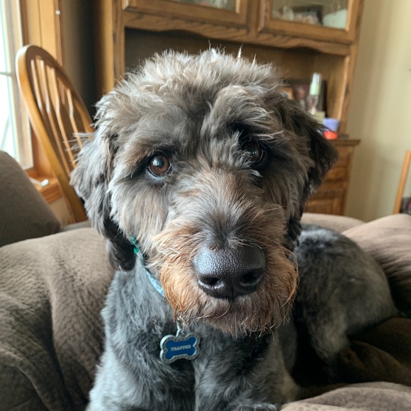 Profile Picture of L Lipelt (@lisalipelt) on Poshmark