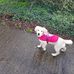 Profile Picture of James Mcnally (@james.mcnally.98622) on Facebook