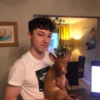 Profile Picture of Joseph Hoban (@joseph-hoban-6) on Quora