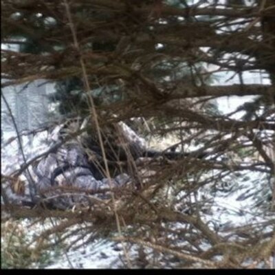 Andrew Wilborn - Twitter Profile Picture of Andrew Wilborn (@Wilbo_59) on Twitter