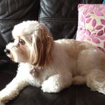 Profile Picture of Minnie James (@_minnie.james_) on Instagram