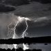 Profile Picture of Daniel Polakow (@danielpolakow) on Pinterest