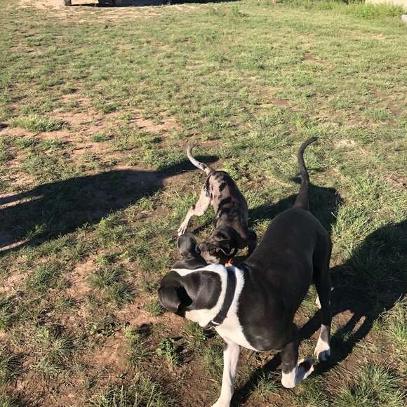 Profile Picture of Jarrett Cherok (@cherok7) on Poshmark