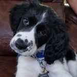 Profile Picture of Kenneth Cote (@codeman3068) on Instagram