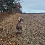 Profile Picture of Travis Clock (@Travis-Clock) on Facebook