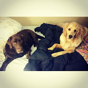 Kelsey Satterfield - Youtube Profile Picture of Kelsey Satterfield (@kelseysatterfield4321) on Youtube