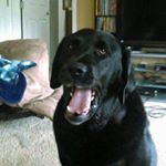 Profile Picture of Tyler/\MacArthur (@tyler_4344) on Instagram