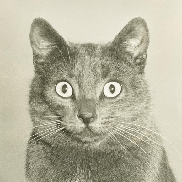 Marianne Tissot - Poshmark Profile Picture of Marianne Tissot (@luccavintage) on Poshmark