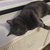 Profile Picture of Nathan Wild (@nathan-wild-2) on Quora