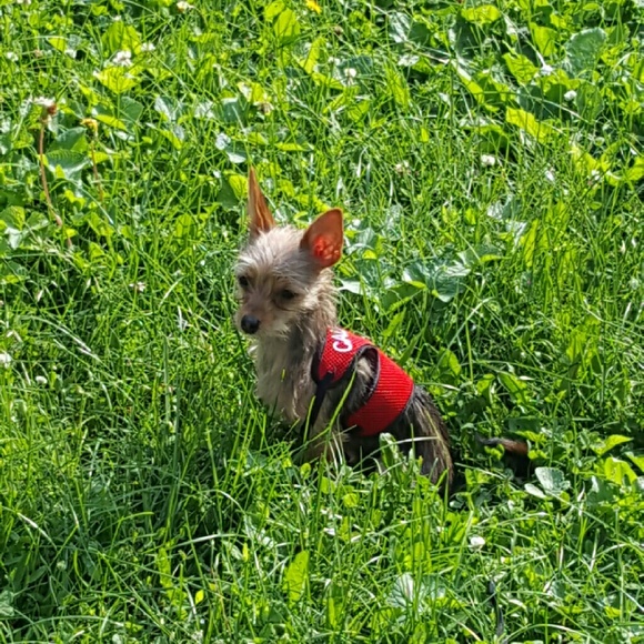 Profile Picture of Cindy Alexander (@rockyroco) on Poshmark