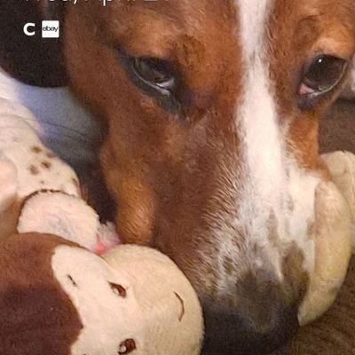 Profile Picture of Michael Moore (@Michael69339492) on Twitter