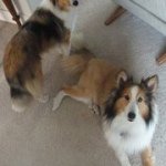 Profile Picture of Marlene McGill (@conbler) on Instagram