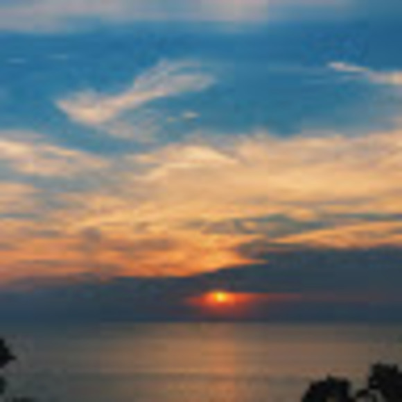 Profile Picture of Shaylynn Reyes (@20reyesh) on Poshmark