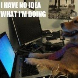 Profile Picture of Chris Everitt (@everittcj) on Twitter