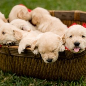 Profile Picture of Christopher Pendola (@christo71331976) on Twitter