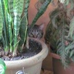 Profile Picture of Harlan Schultz (@harlan.schultzyahoo.com_) on Instagram