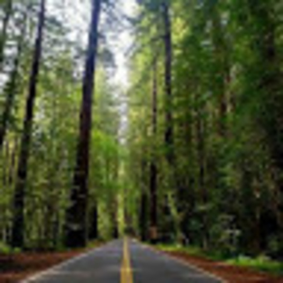 Profile Picture of Victoria Eggink (@victoriaisarose) on Poshmark