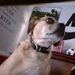 Profile Picture of Kyler Moffat [STUDENT] (@kmoffatstudent) on Pinterest