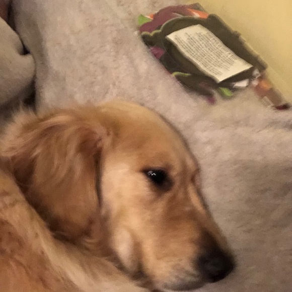 Profile Picture of Emily Tanski (@etanski) on Poshmark