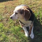 Profile Picture of Oliver Ames 2019 (@garrett_ruggiero) on Instagram