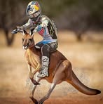 Profile Picture of Darren Goodyear (@darren.goodyear.556461) on Facebook