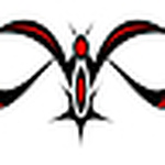 Profile Picture of Robin Cailler (@robinou3) on Flickr