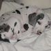 Profile Picture of Roxanne Hoffman-Waldie (@hoffmanwaldie) on Pinterest