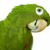 Profile Picture of Abigail Harper (@abigailharper6237) on Youtube