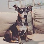 Profile Picture of Brad (@brad.cardinale) on Instagram