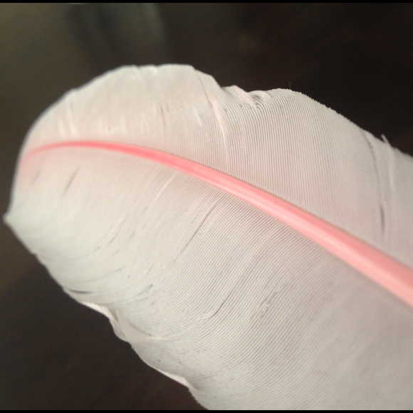 Profile Picture of Kelly Pedone (@kellypedone) on Poshmark