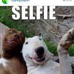 Profile Picture of Seth. Cason (@carso_12) on Instagram