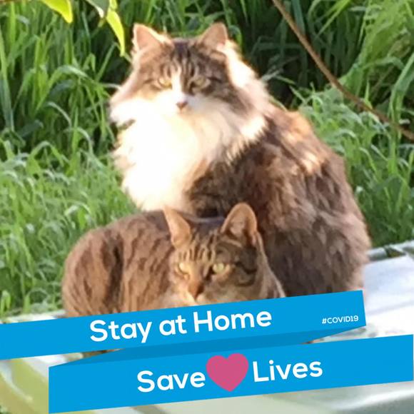 Profile Picture of Anna Lindenmeyer (@evilanna) on Poshmark