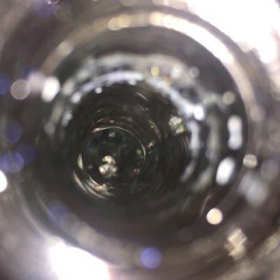 Profile Picture of Lisa Lorenz (@lisalorenz0) on Twitter