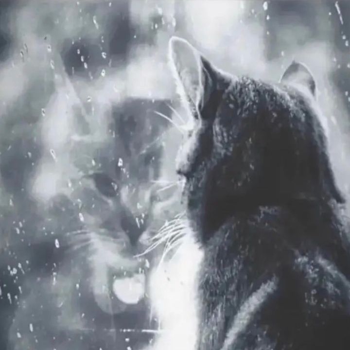 Profile Picture of Nia Lowers (@nialowers) on Tiktok