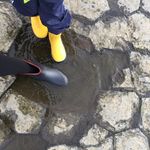 Profile Picture of Wenchiao Yang (@yangwenchiao) on Instagram