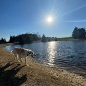 Profile Picture of Bria Moore (@briamoore9355) on Youtube