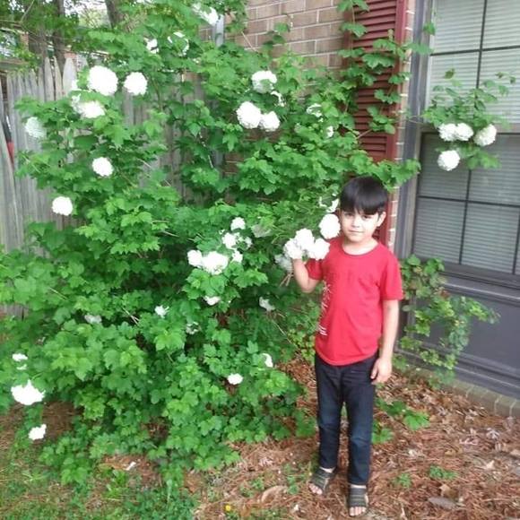 Profile Picture of Musazai Musazai (@musazairihan) on Poshmark